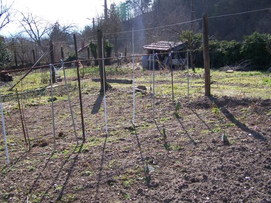 Le jardin encore au repos