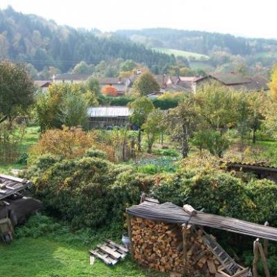 Les Temps Roux au jardin de Tom Patate 